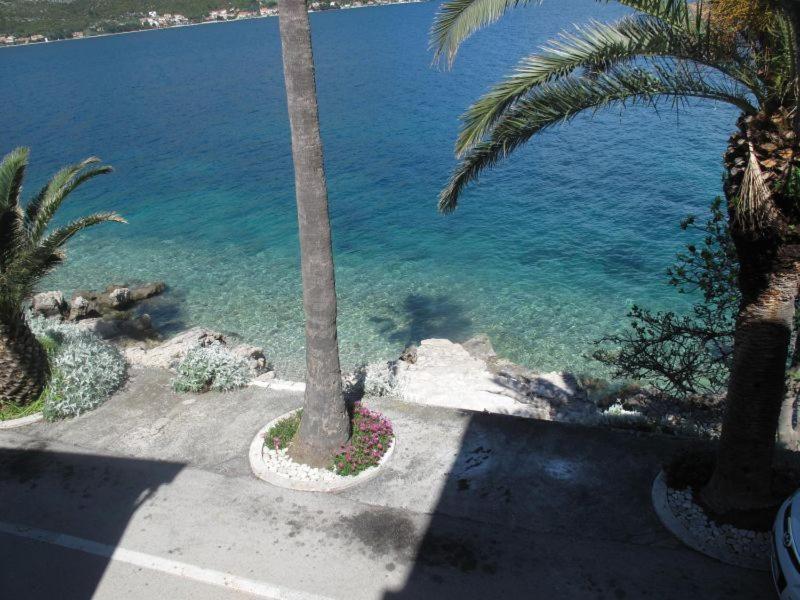 Apartments Jasmina Korčula Habitación foto